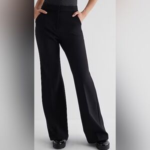 Express Slacks/Trousers